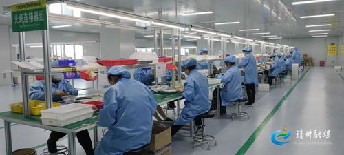 靖州 防疫生產 兩手抓 兩手硬 兩不誤