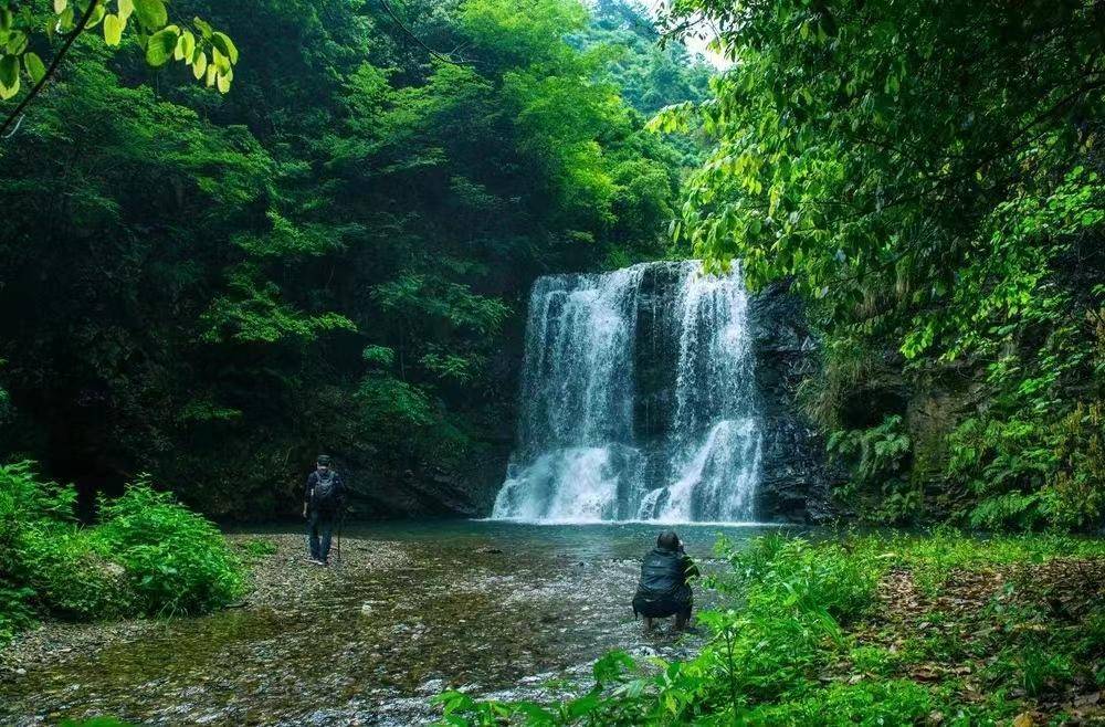 靖州新江村:看山,望水,濕地公園,景美如畫