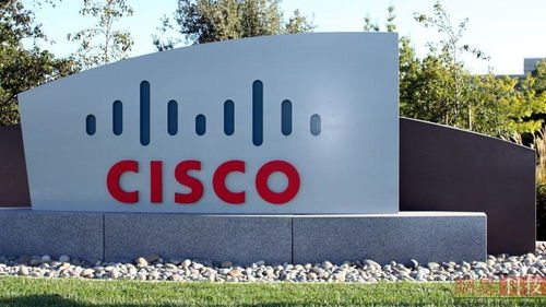 2017年最值得關注的物聯網公司