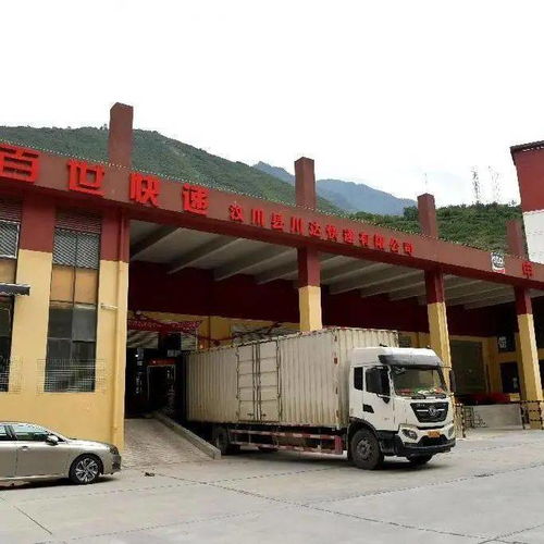 汶川縣擘畫電商富民新藍圖 我州大力培育 色灣藏香豬 地標產品