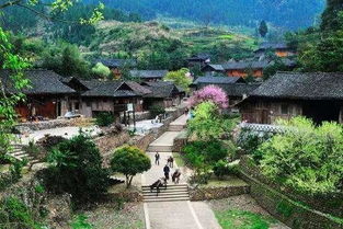 都說湖南多美女,感覺被忽悠了,湖南最美的不是美女