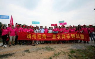 惠農網申斌 農業電商發展需要打好 組合拳