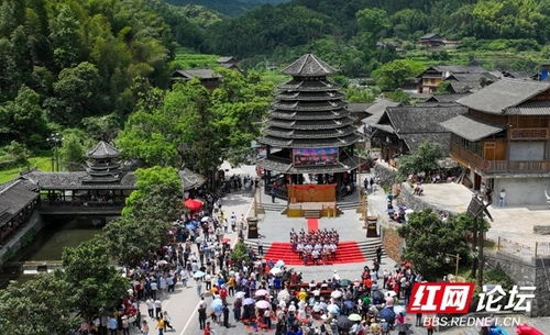 靖州苗族四月八,來和苗家姑娘們一起歡慶盛會