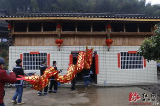 靖州三江溪 五龍 騰飛 鬧新春