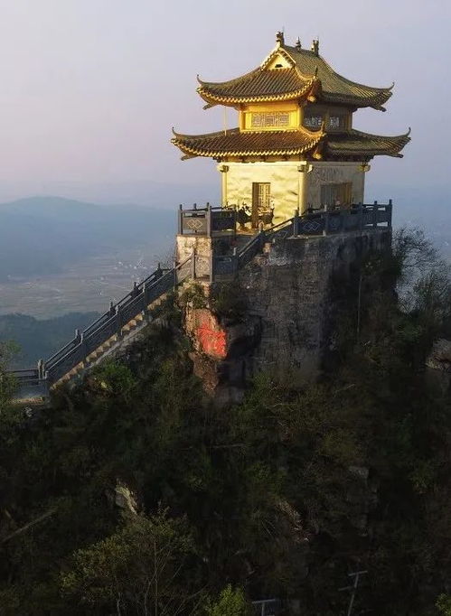 中國人吃楊梅地圖