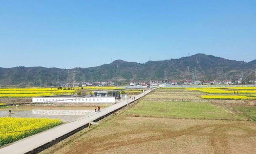 全國示范 懷化這4個地方上榜 是你家嗎