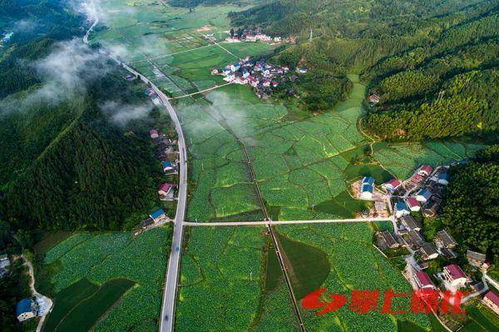 苗侗福地展新姿 靖州苗族侗族自治縣脫貧攻堅長卷