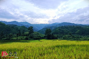 靖州 苗寨傍晚美如畫