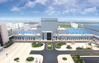 奶粉界的小米 靖州自跳火坑爭一口氣，為中國父母省下200億