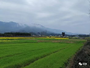 花途 靖州江邊村一瞥