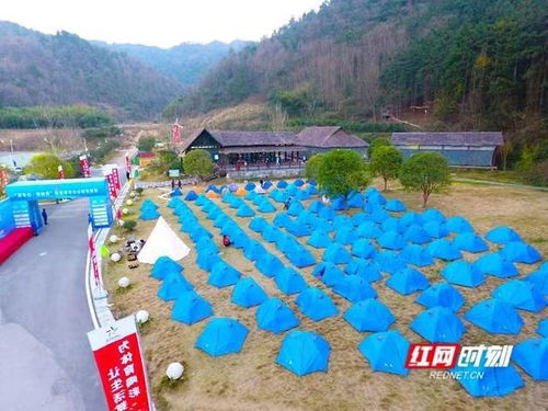 懷化靖州 水杉星空下相約帳篷節(jié)