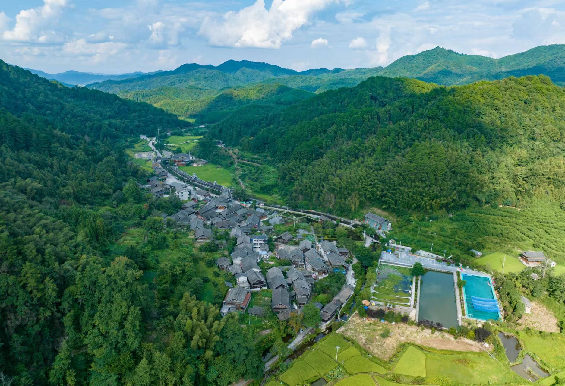 靖州寨牙鄉(xiāng):繪環(huán)境底色,綴青山翠柏