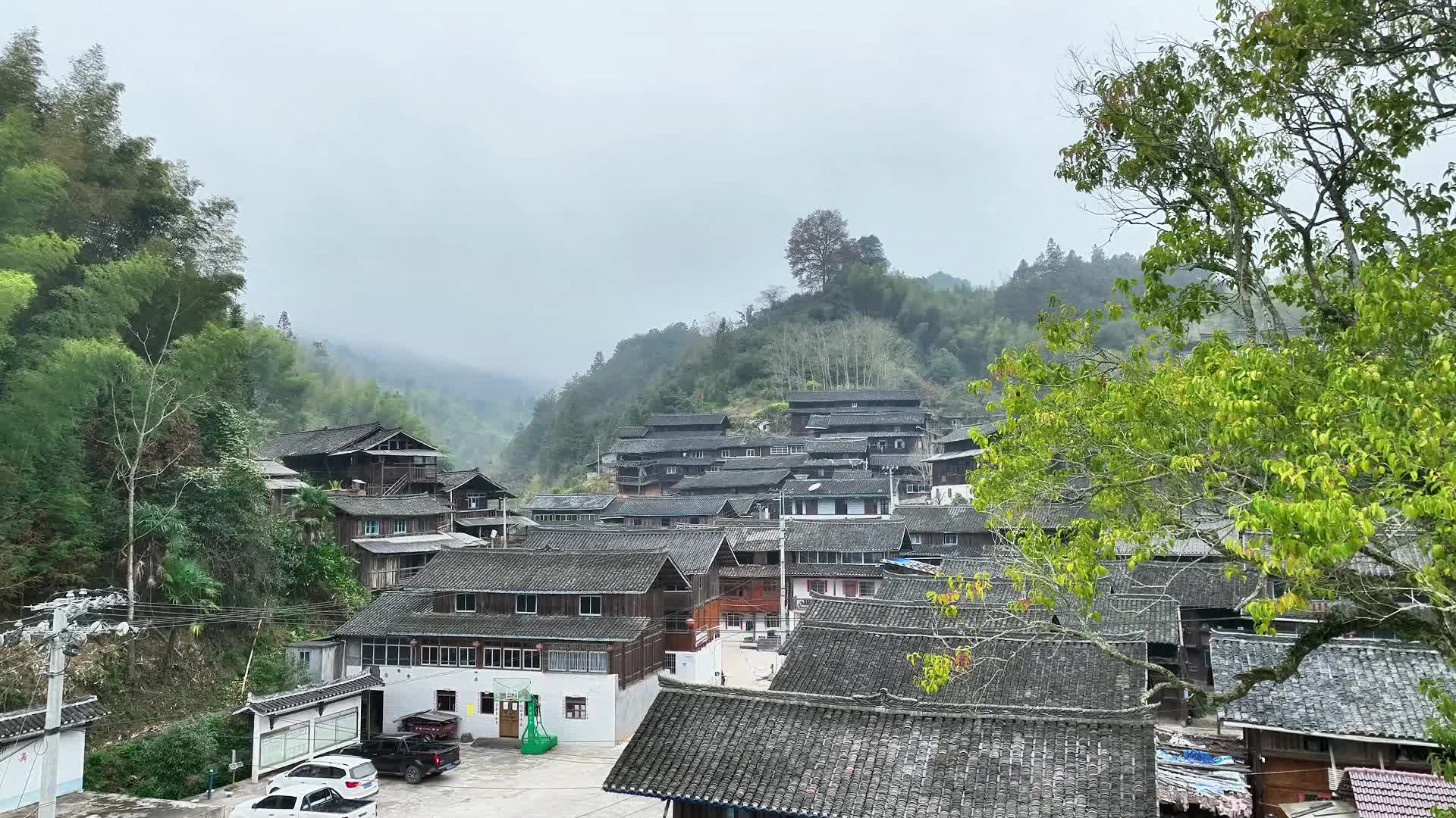 妙手丹青繪古城——知名畫家赴靖州采風(fēng)創(chuàng)作側(cè)記