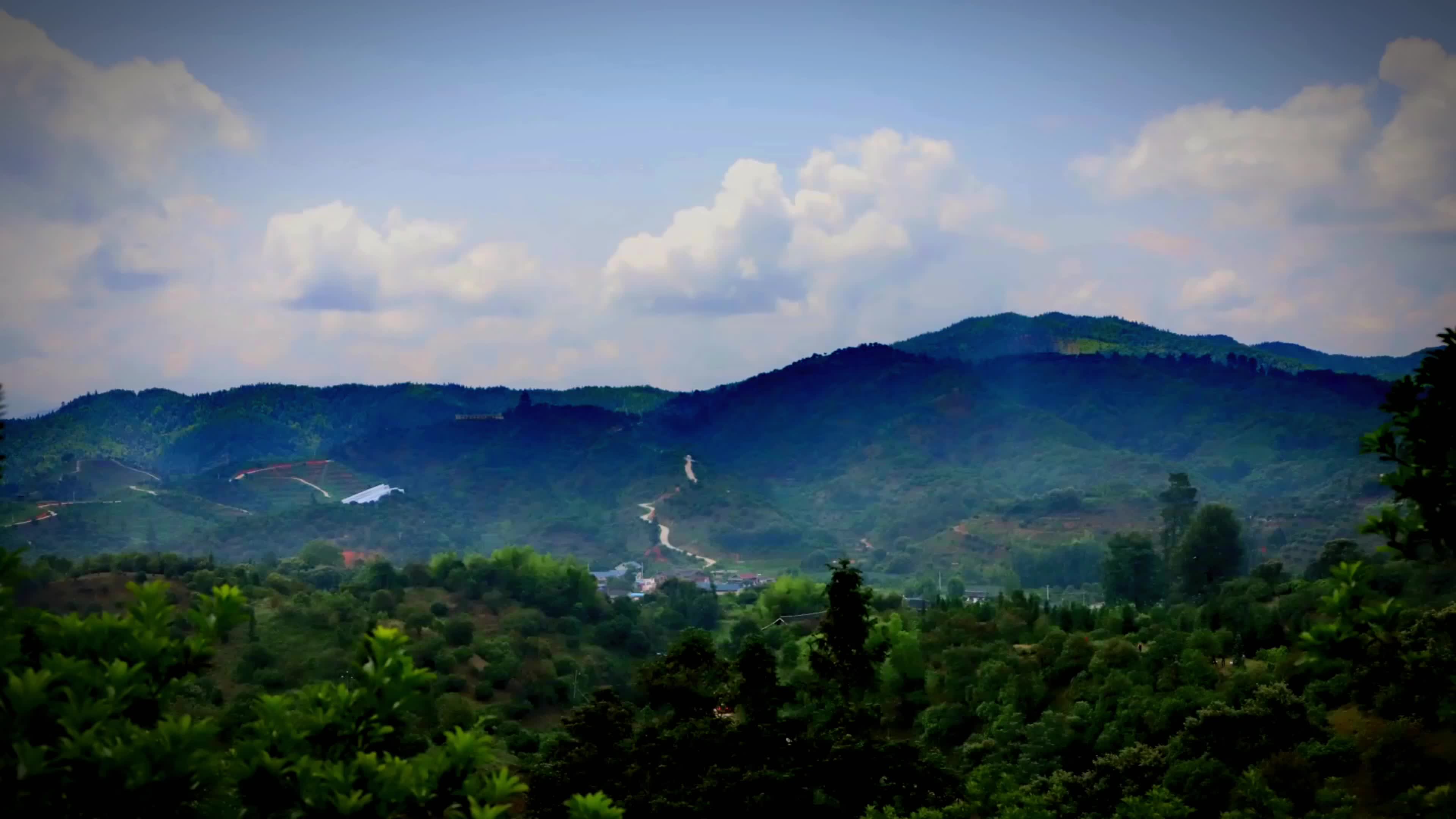 2023楊梅季——靖州生活圈