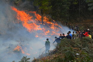 靖州山林大火歷經26小時終被控制