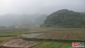 紅網網友六不道人靖州扶貧助學行紀實